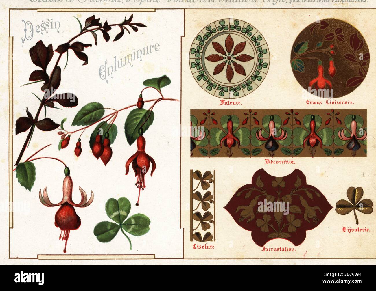 Images of fuchsia and barberry from manuscripts and their applications in pottery, cloisonne enamel, jewelry, ciselure and encrustation. Chromolithograph designed and lithographed by Ernst Guillot from his Flowers After Nature and Ornamental Flowers, Fleurs d`apres Nature et fleurs ornementales, Paris, 1890. Stock Photo